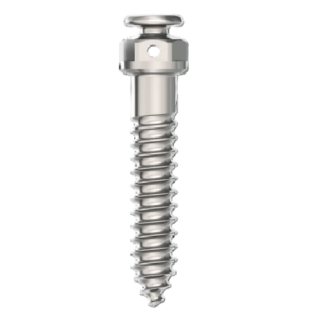 Mini-implante SF Extra Alveolar