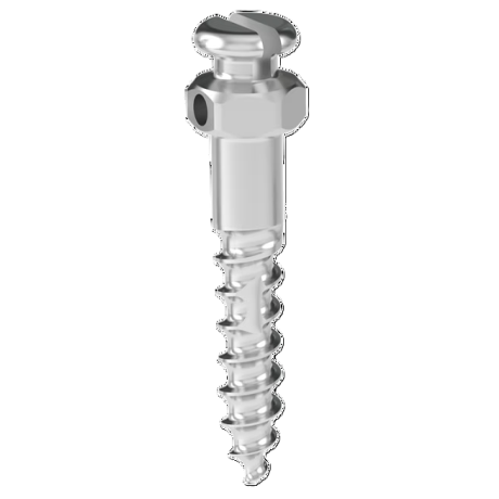Mini-implante S Bracket